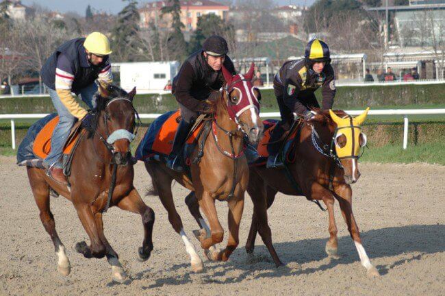 idman pisti goruntuleri ganyantime2 com at yarislarinda tek adres tjk